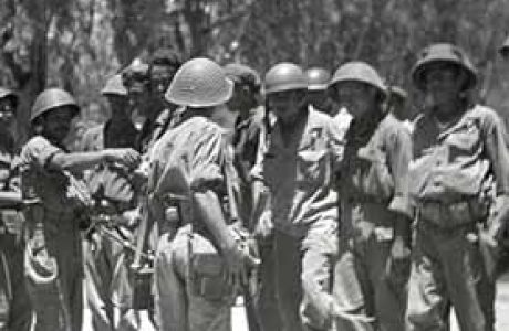 כיבוש צריפין – סרפנד במאי 1948